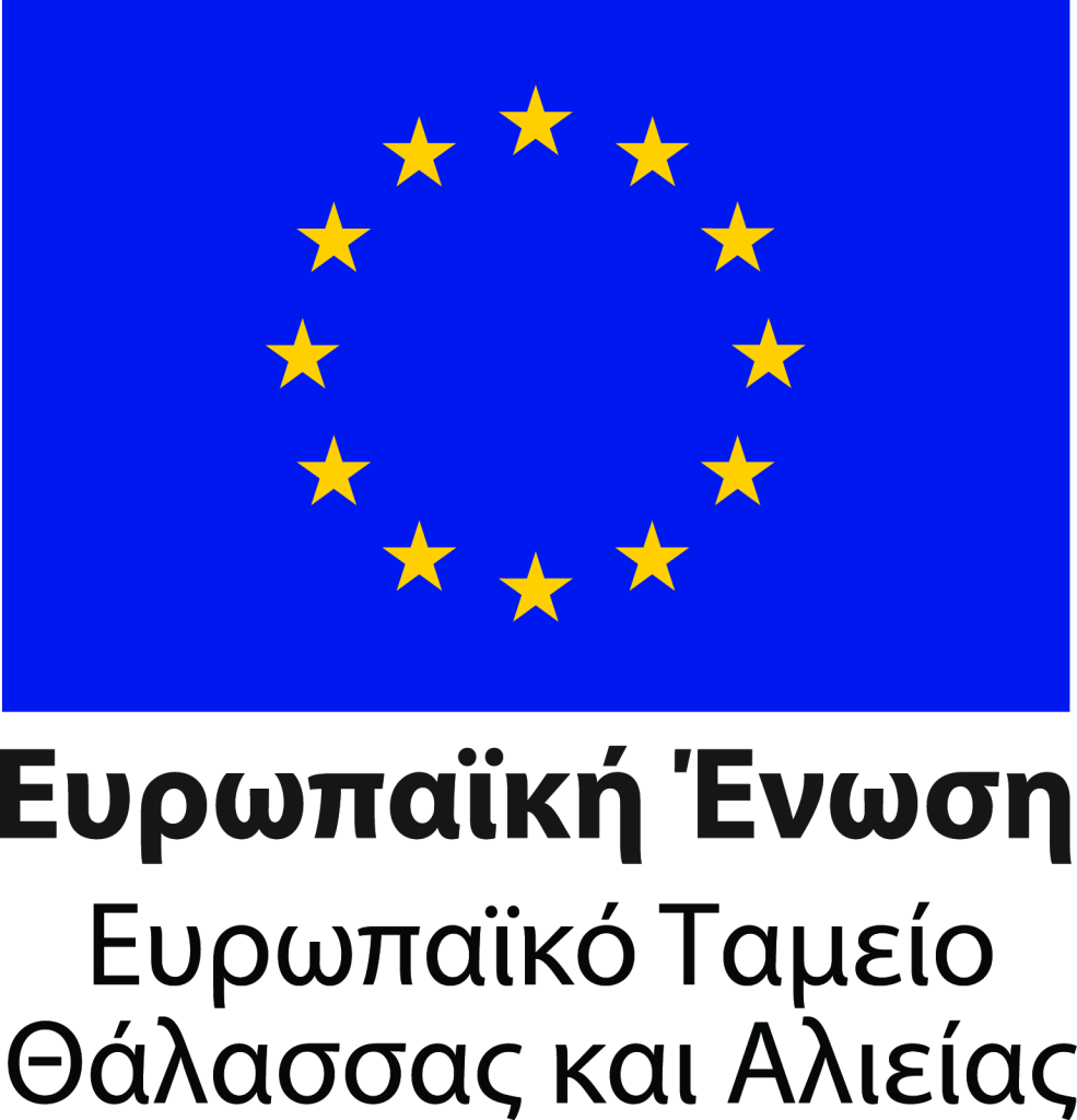 Εικόνα Ε.Ε